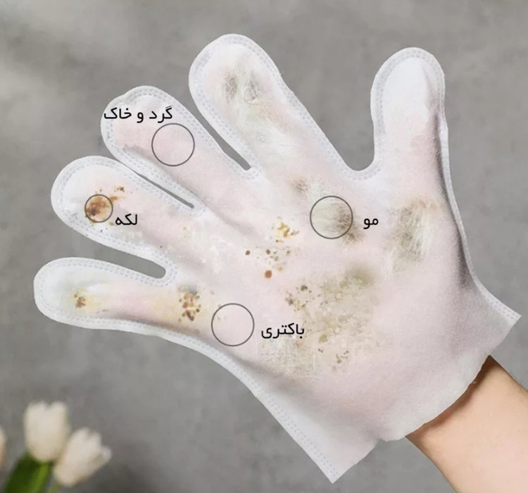 دستکش مرطوب بهداشتی حیوانات خانگی گلدپد مدل پودر بچه بسته ۵ عددی