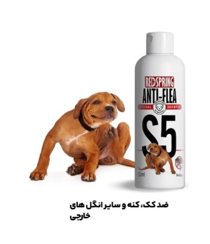 شامپو سگ رداسپرینگ مدل مو ضد کک و کنه S5 حجم 300میلی لیتر